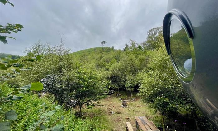 Your view each morning...